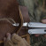 Мультитул Roxon Flex S804G